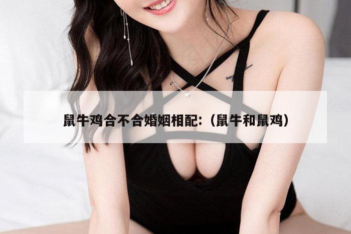 鼠牛鸡合不合婚姻相配:（鼠牛和鼠鸡）